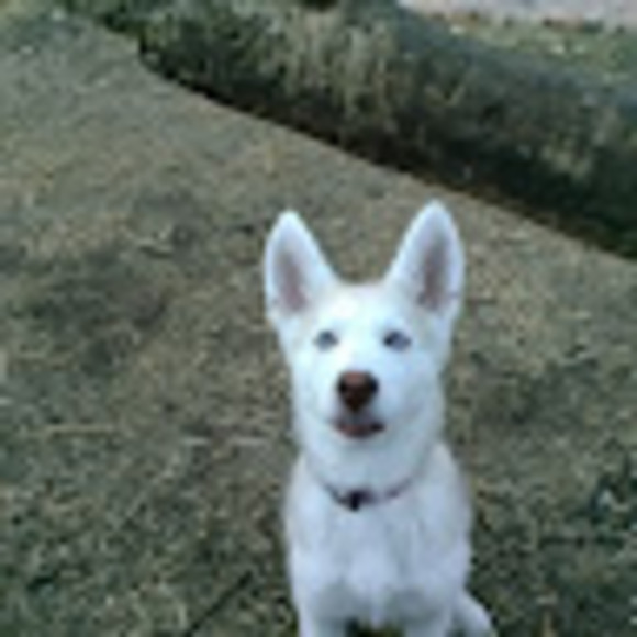 Meet your Posher, Cheryl - Picture 1 of 1